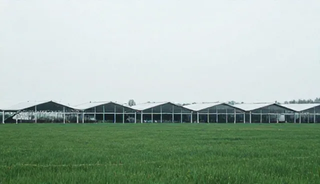 服务器租赁中技术外包服务的适用场景与限制分析